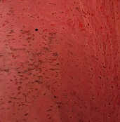 Ткань пробковая 50х70см Cork Surface red(15,5%полиэстер + 29,5%хлопок + 55%полиуретан238827